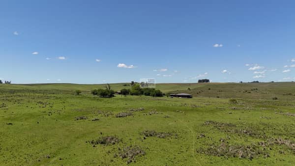 179 hectáreas. Agrícola Ganadero en Lavalleja Uruguay